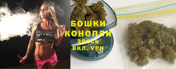 гидра Лихославль