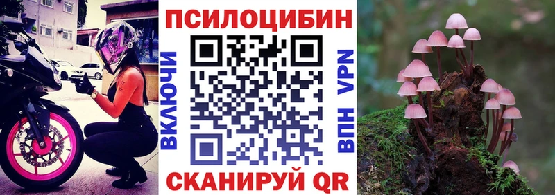 Купить  Михайловск  Псилоцибиновые грибы Psilocybine cubensis 